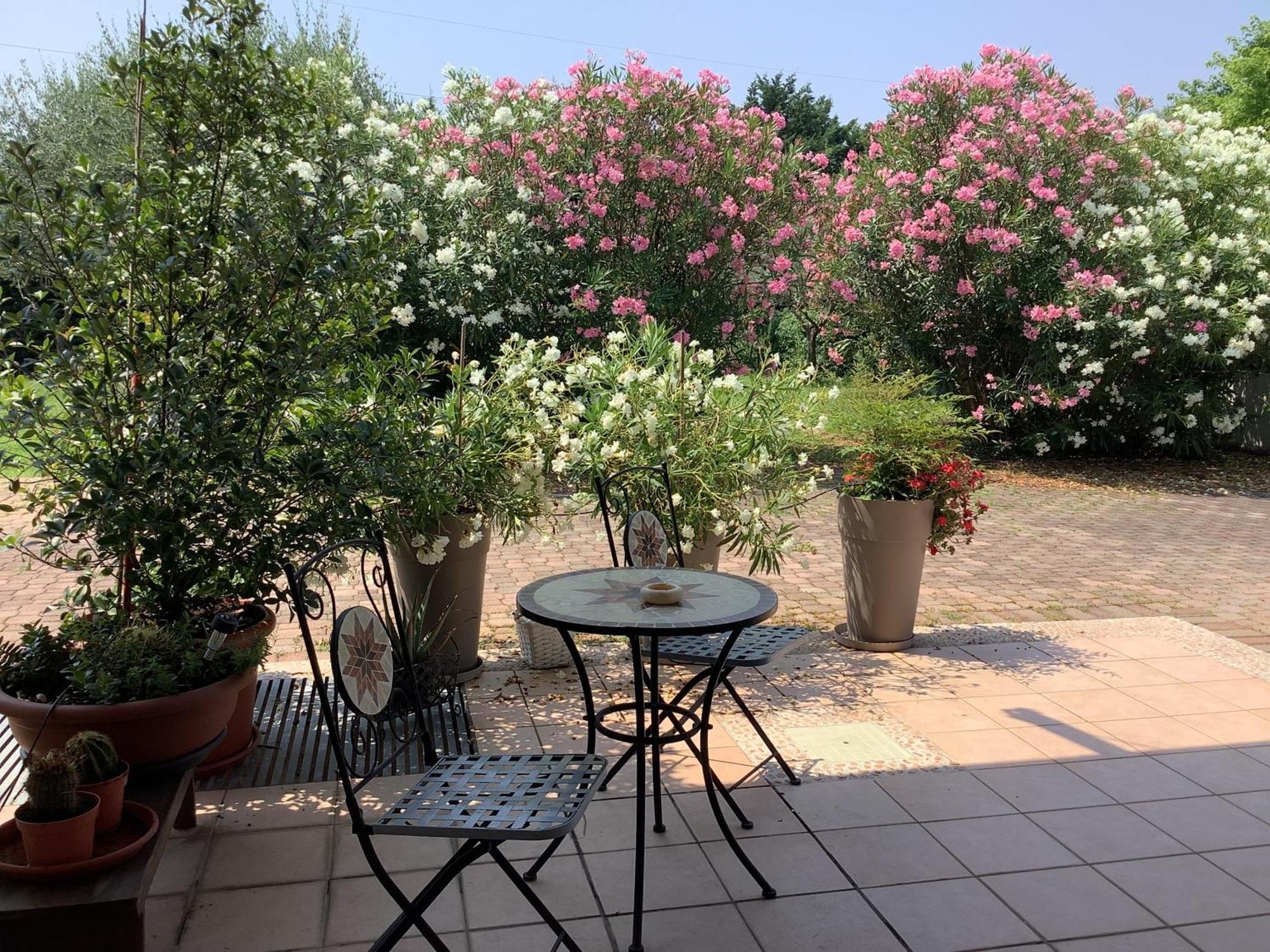 Edyshome Peschiera del Garda Buitenkant foto